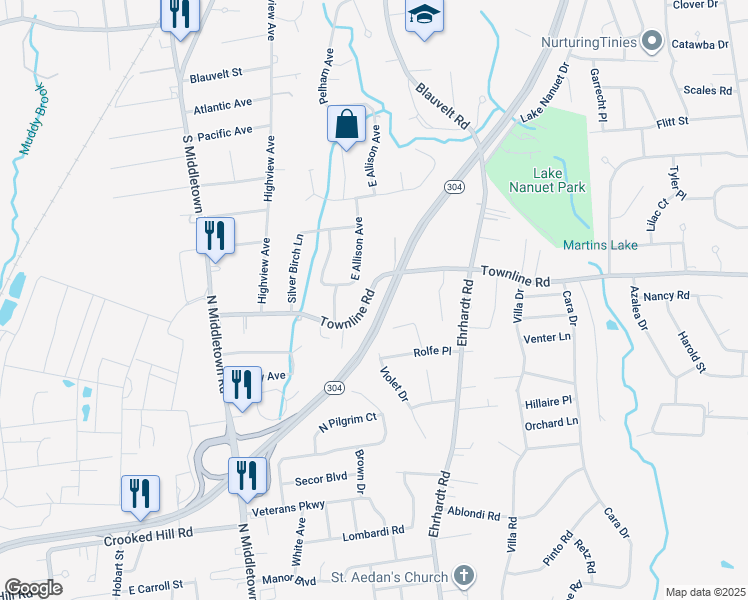map of restaurants, bars, coffee shops, grocery stores, and more near 156 Townline Road in Pearl River