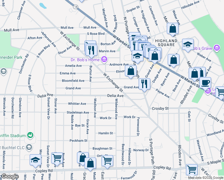 map of restaurants, bars, coffee shops, grocery stores, and more near 873 Delia Avenue in Akron