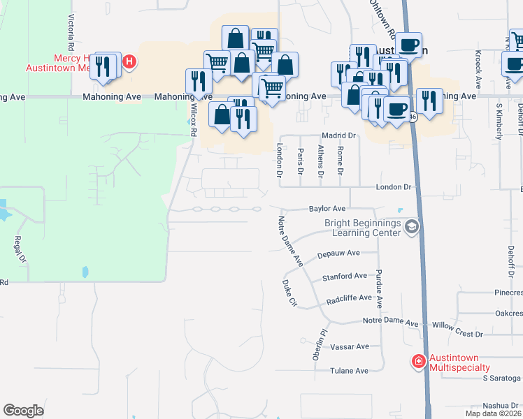 map of restaurants, bars, coffee shops, grocery stores, and more near 537 Wilcox Road in Youngstown