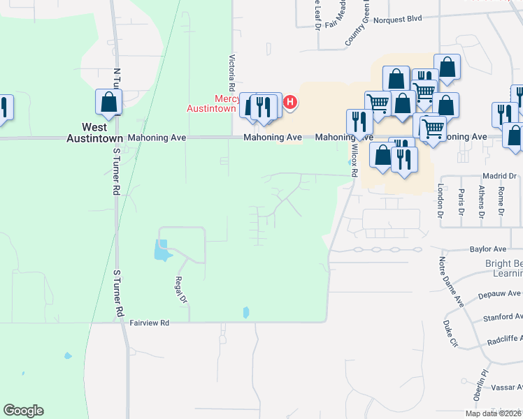 map of restaurants, bars, coffee shops, grocery stores, and more near 218 Wilcox Road in Youngstown