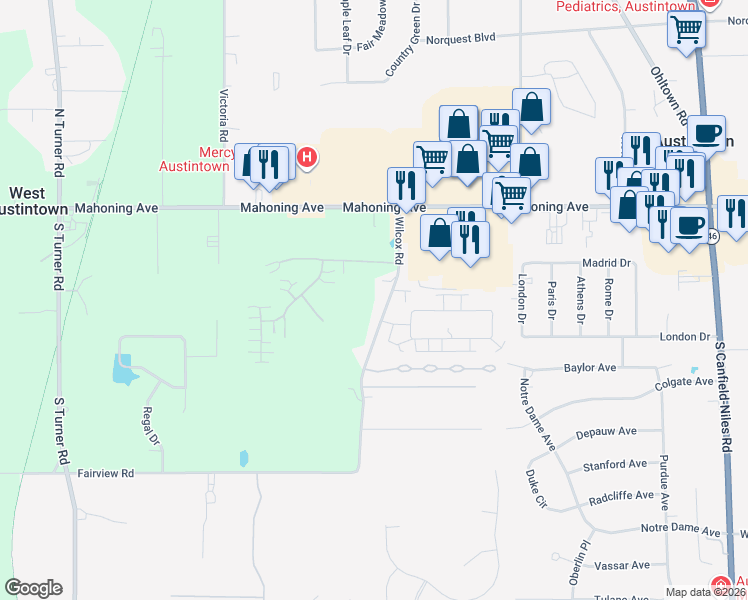 map of restaurants, bars, coffee shops, grocery stores, and more near 350 Wilcox Road in Youngstown
