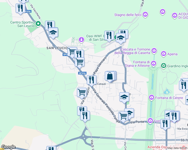 map of restaurants, bars, coffee shops, grocery stores, and more near 20 Via Papa Gennaro in Caserta