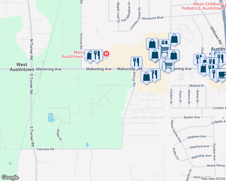 map of restaurants, bars, coffee shops, grocery stores, and more near 122 Wilcox Road in Youngstown