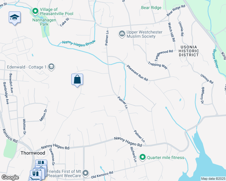 map of restaurants, bars, coffee shops, grocery stores, and more near 208 Palmer Lane in Pleasantville