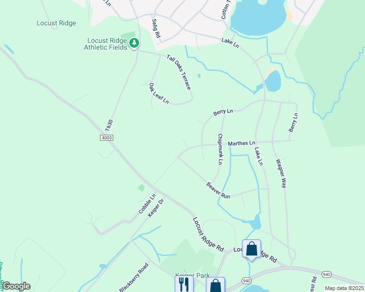map of restaurants, bars, coffee shops, grocery stores, and more near 113-121 Marthas Ct in Monroe