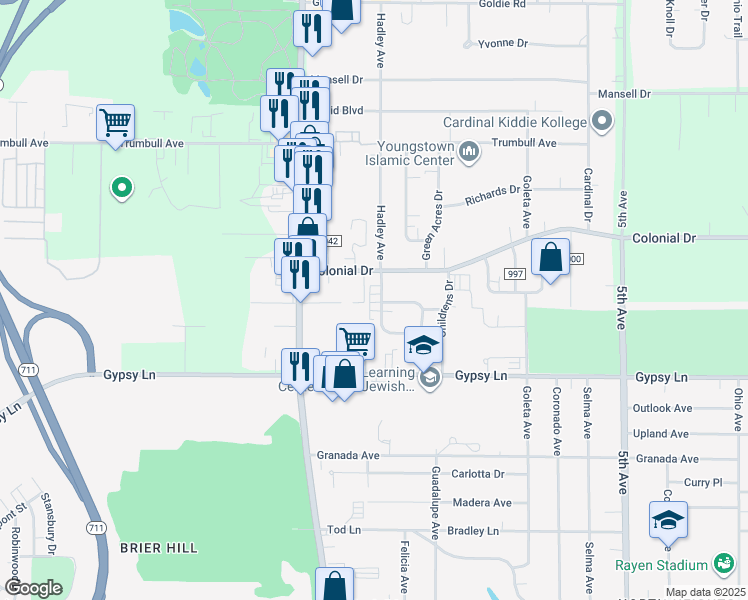 map of restaurants, bars, coffee shops, grocery stores, and more near 2978 Roosevelt Drive in Youngstown