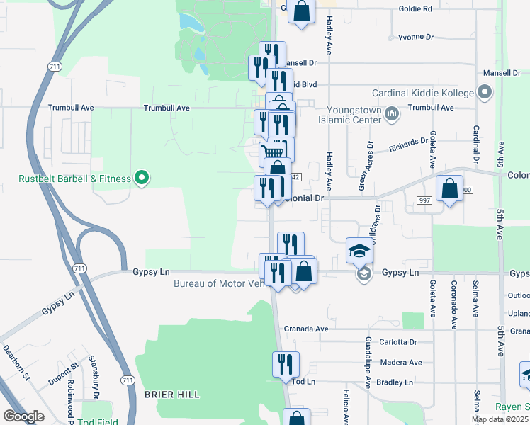 map of restaurants, bars, coffee shops, grocery stores, and more near 2940 Belmont Avenue in Youngstown