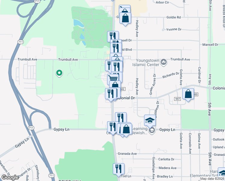 map of restaurants, bars, coffee shops, grocery stores, and more near 3027-3029 Belmont Ave in Youngstown