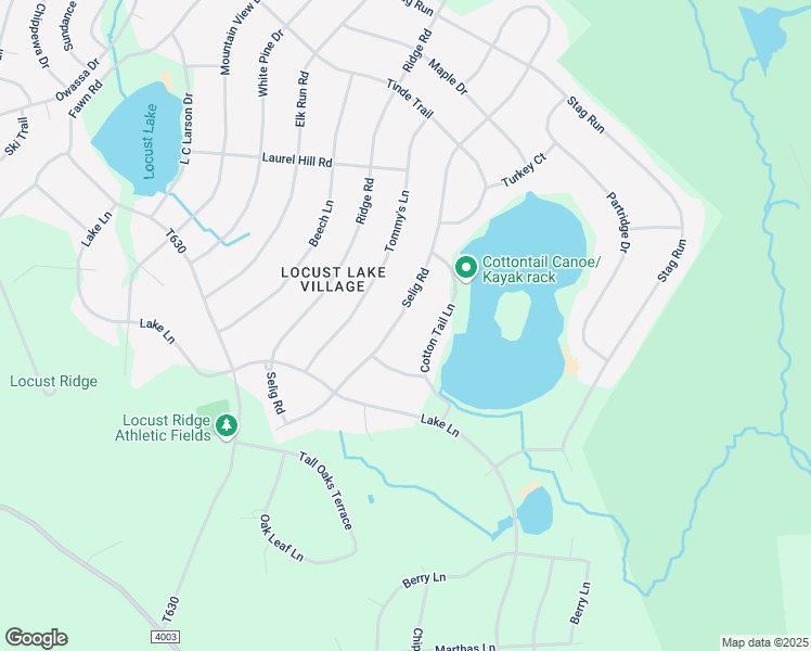 map of restaurants, bars, coffee shops, grocery stores, and more near 172 Selig Road in Monroe County
