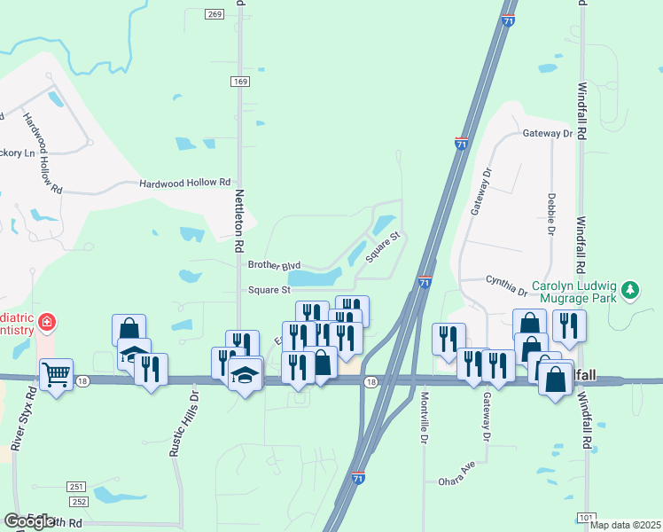 map of restaurants, bars, coffee shops, grocery stores, and more near Brother Boulevard in Medina