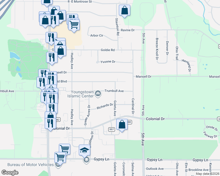 map of restaurants, bars, coffee shops, grocery stores, and more near 219 Euclid Boulevard in Youngstown