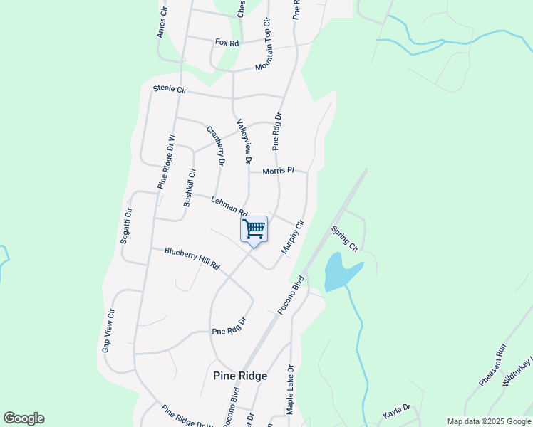 map of restaurants, bars, coffee shops, grocery stores, and more near 4239 Pine Ridge Drive in Bushkill