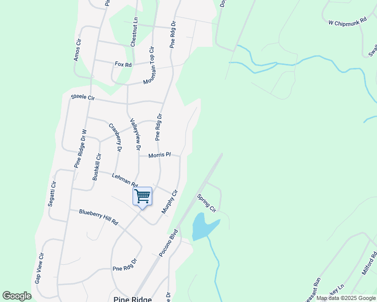 map of restaurants, bars, coffee shops, grocery stores, and more near 198 Murphy Circle in Bushkill