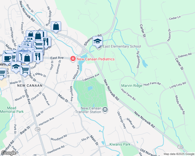 map of restaurants, bars, coffee shops, grocery stores, and more near 139 Lakeview Avenue in New Canaan