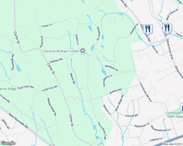 map of restaurants, bars, coffee shops, grocery stores, and more near 388 Cedar Lane in New Canaan
