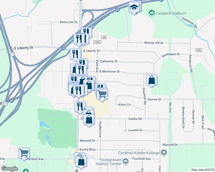 map of restaurants, bars, coffee shops, grocery stores, and more near 239 Laurel Street in Youngstown