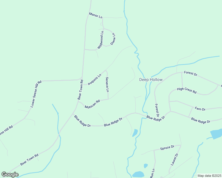 map of restaurants, bars, coffee shops, grocery stores, and more near 304 Seneca Lane in Monroe County
