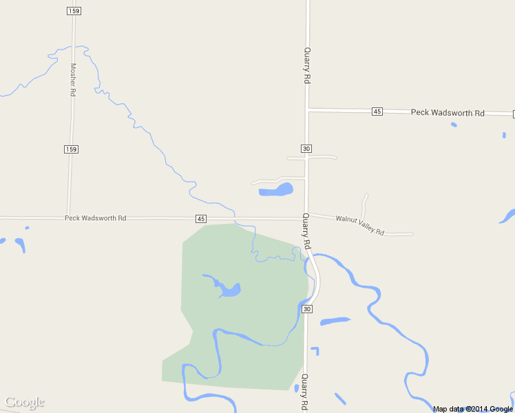 map of restaurants, bars, coffee shops, grocery stores, and more near 48792 Peck Wadsworth Road in Wellington