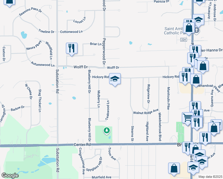 map of restaurants, bars, coffee shops, grocery stores, and more near 4628 Hickory Ridge Avenue in Brunswick