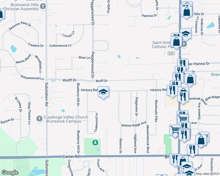 map of restaurants, bars, coffee shops, grocery stores, and more near 4605 Hickory Ridge Avenue in Brunswick