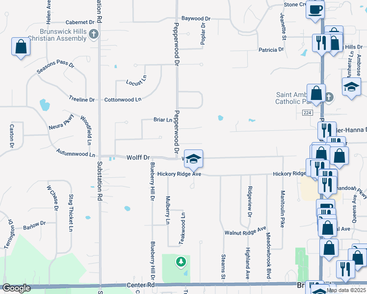 map of restaurants, bars, coffee shops, grocery stores, and more near 4654 Basswood Oval in Brunswick