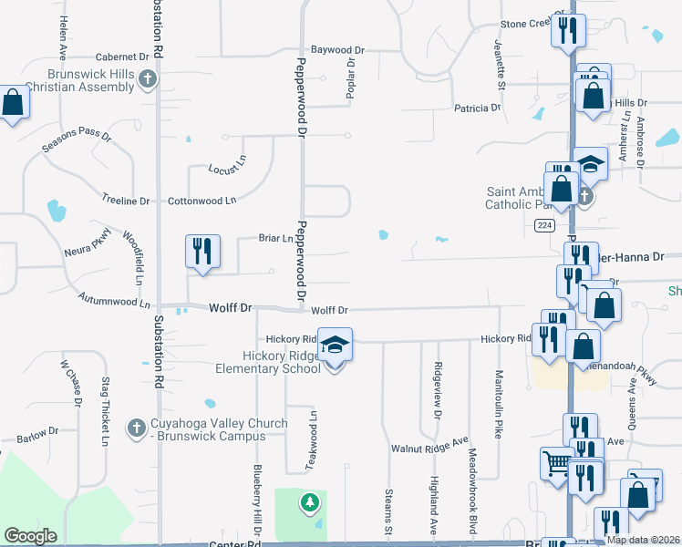 map of restaurants, bars, coffee shops, grocery stores, and more near 4619 Brushwood Circle in Brunswick