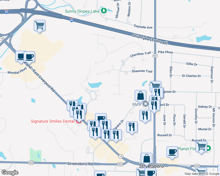 map of restaurants, bars, coffee shops, grocery stores, and more near 1159 Adena Circle in Streetsboro