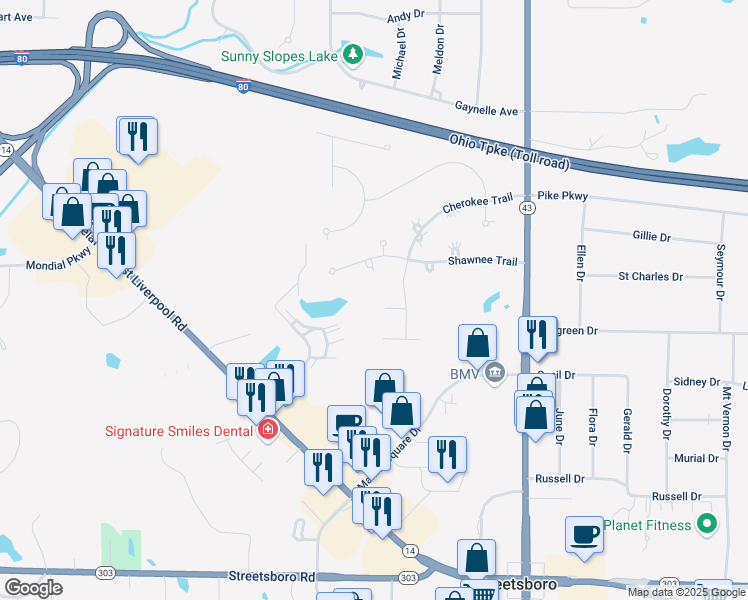 map of restaurants, bars, coffee shops, grocery stores, and more near 1159 Adena Cir in Streetsboro