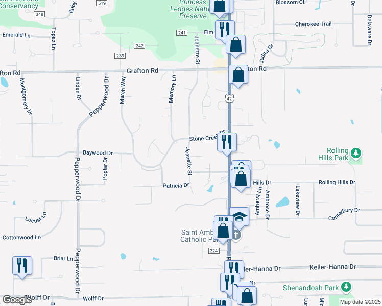 map of restaurants, bars, coffee shops, grocery stores, and more near 4403 Fieldstone Court in Brunswick