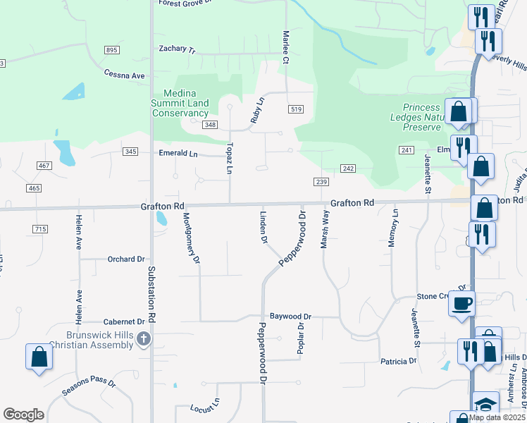 map of restaurants, bars, coffee shops, grocery stores, and more near 535 Linden Drive in Brunswick