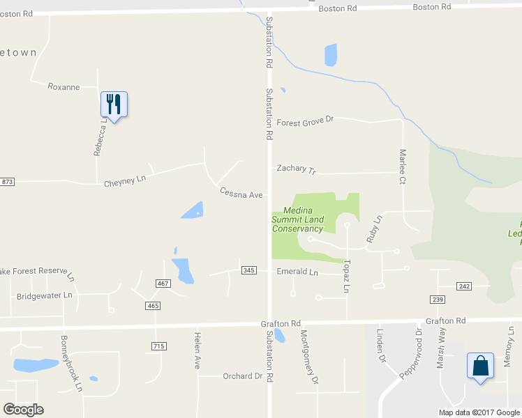 map of restaurants, bars, coffee shops, grocery stores, and more near 338 Substation Road in Brunswick