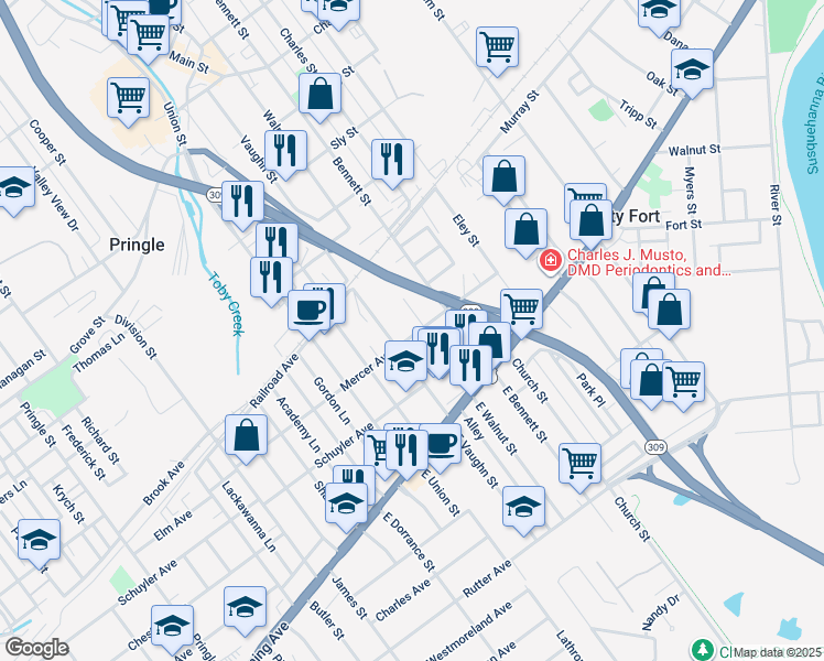 map of restaurants, bars, coffee shops, grocery stores, and more near 752 Mercer Avenue in Kingston