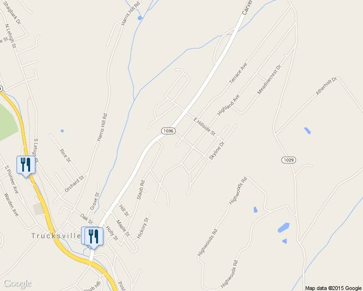 map of restaurants, bars, coffee shops, grocery stores, and more near 159 Terrace Avenue in Shavertown