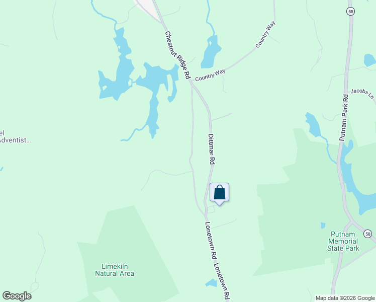 map of restaurants, bars, coffee shops, grocery stores, and more near 193 Chestnut Ridge Road in Bethel