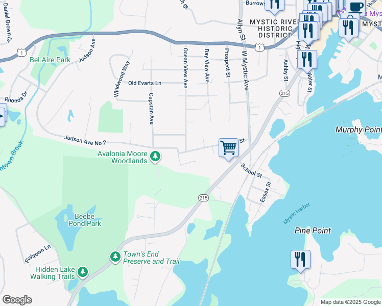 map of restaurants, bars, coffee shops, grocery stores, and more near 141 Irving Street in Groton