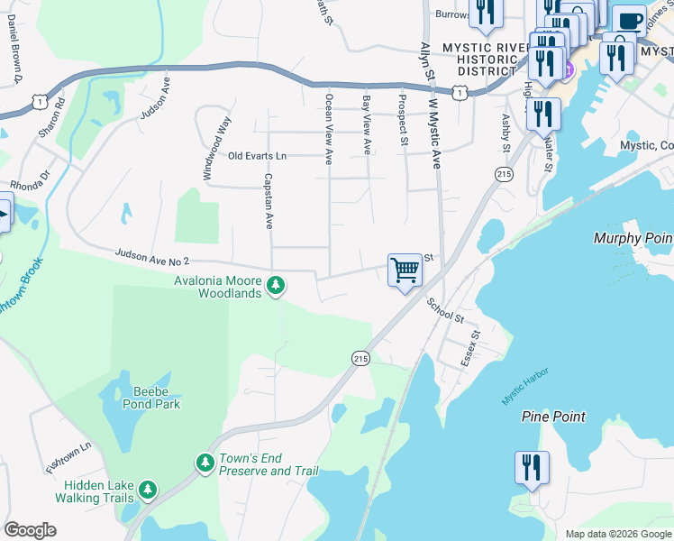 map of restaurants, bars, coffee shops, grocery stores, and more near 141 Irving Street in Groton