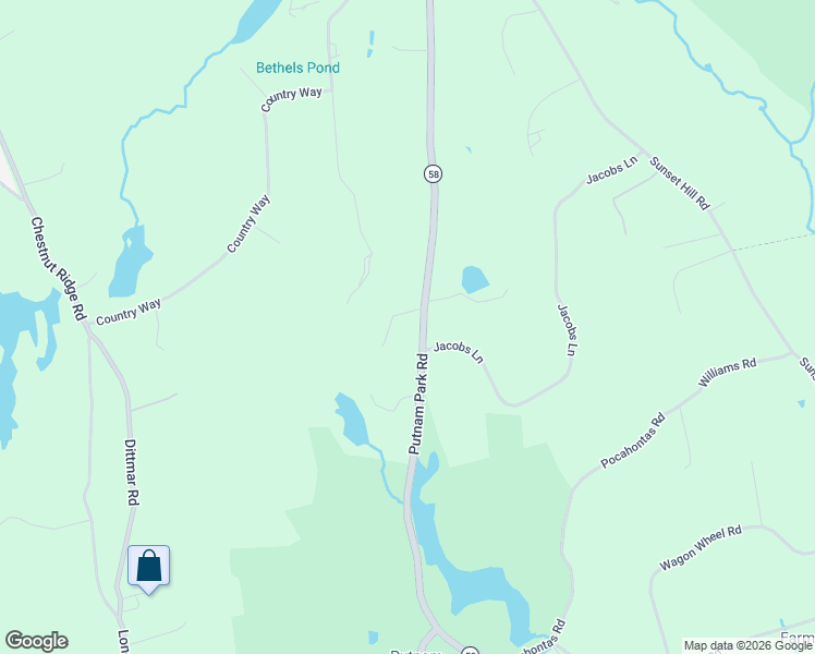 map of restaurants, bars, coffee shops, grocery stores, and more near 138 Putnam Park Rd in Bethel