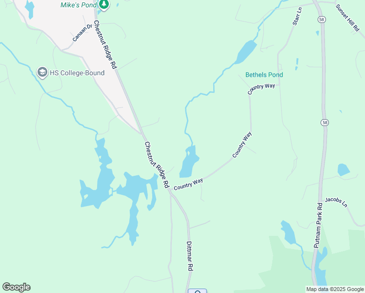 map of restaurants, bars, coffee shops, grocery stores, and more near 202 Chestnut Ridge Road in Bethel