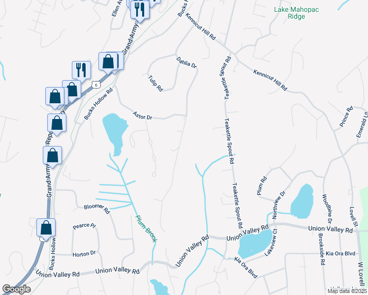 map of restaurants, bars, coffee shops, grocery stores, and more near 116 Dahlia Drive in Mahopac