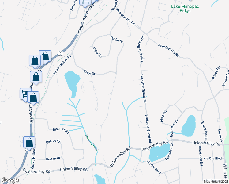 map of restaurants, bars, coffee shops, grocery stores, and more near 116 Dahlia Drive in Mahopac