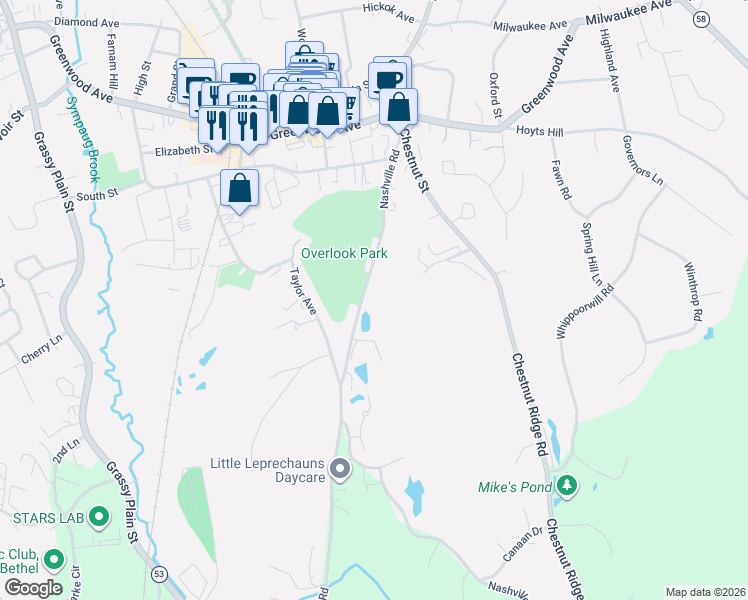 map of restaurants, bars, coffee shops, grocery stores, and more near 64 Nashville Road in Bethel