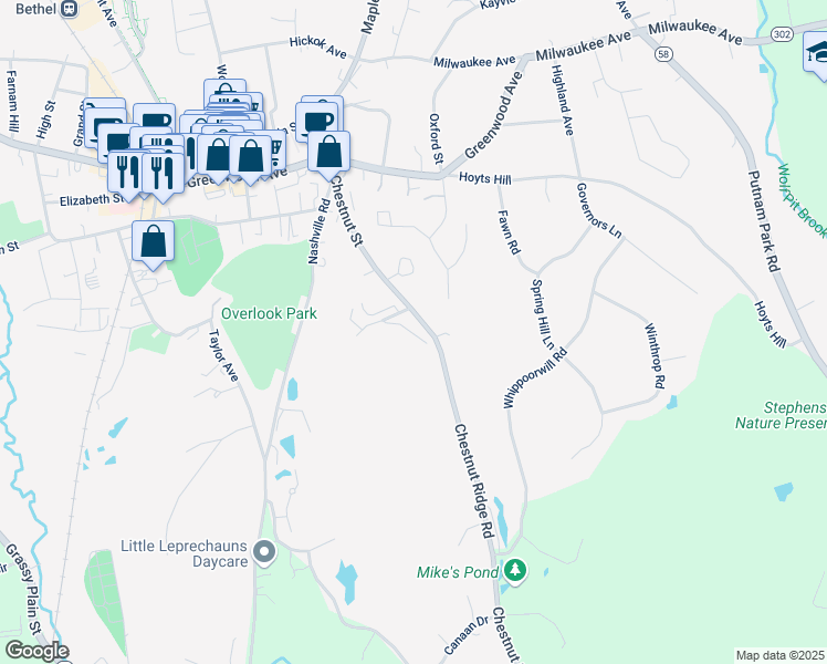 map of restaurants, bars, coffee shops, grocery stores, and more near 100 Chestnut Ridge Road in Bethel