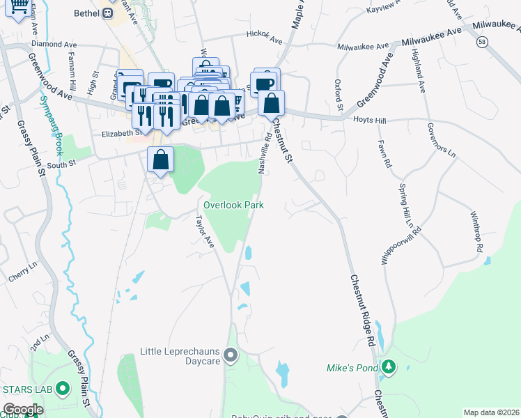 map of restaurants, bars, coffee shops, grocery stores, and more near 52 Nashville Road in Bethel