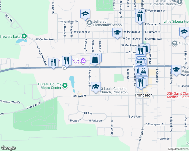 map of restaurants, bars, coffee shops, grocery stores, and more near 419 South Anderson Street in Princeton
