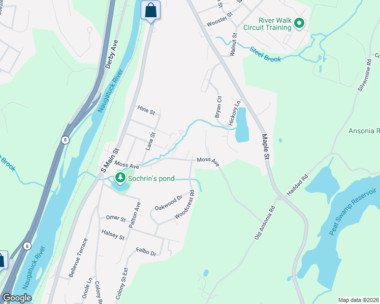 map of restaurants, bars, coffee shops, grocery stores, and more near 31 Moss Avenue in Seymour