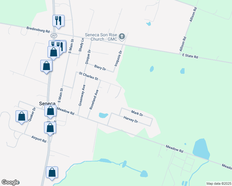 map of restaurants, bars, coffee shops, grocery stores, and more near 215 Saint Charles Street in Seneca