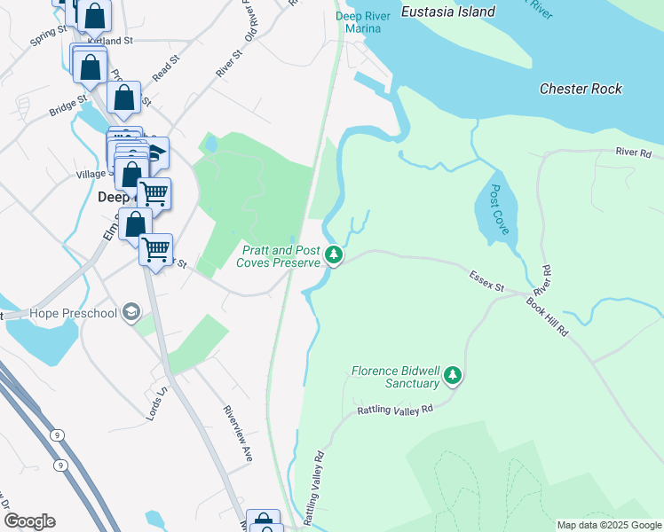 map of restaurants, bars, coffee shops, grocery stores, and more near 91 Essex Street in Deep River