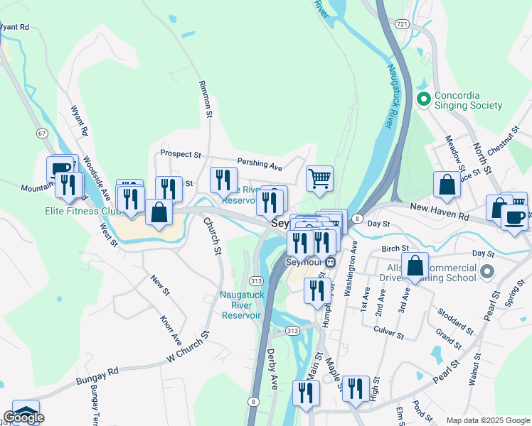 map of restaurants, bars, coffee shops, grocery stores, and more near 79 Bank Street in Seymour