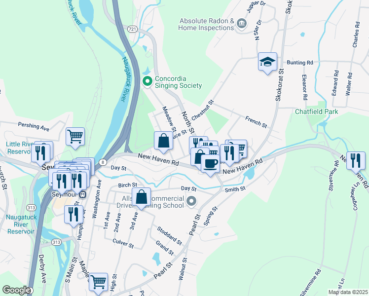map of restaurants, bars, coffee shops, grocery stores, and more near 101 Meadow Street in Seymour