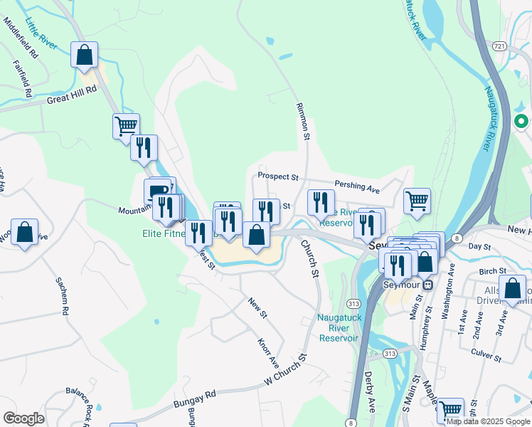map of restaurants, bars, coffee shops, grocery stores, and more near 19 Swan Avenue in Seymour